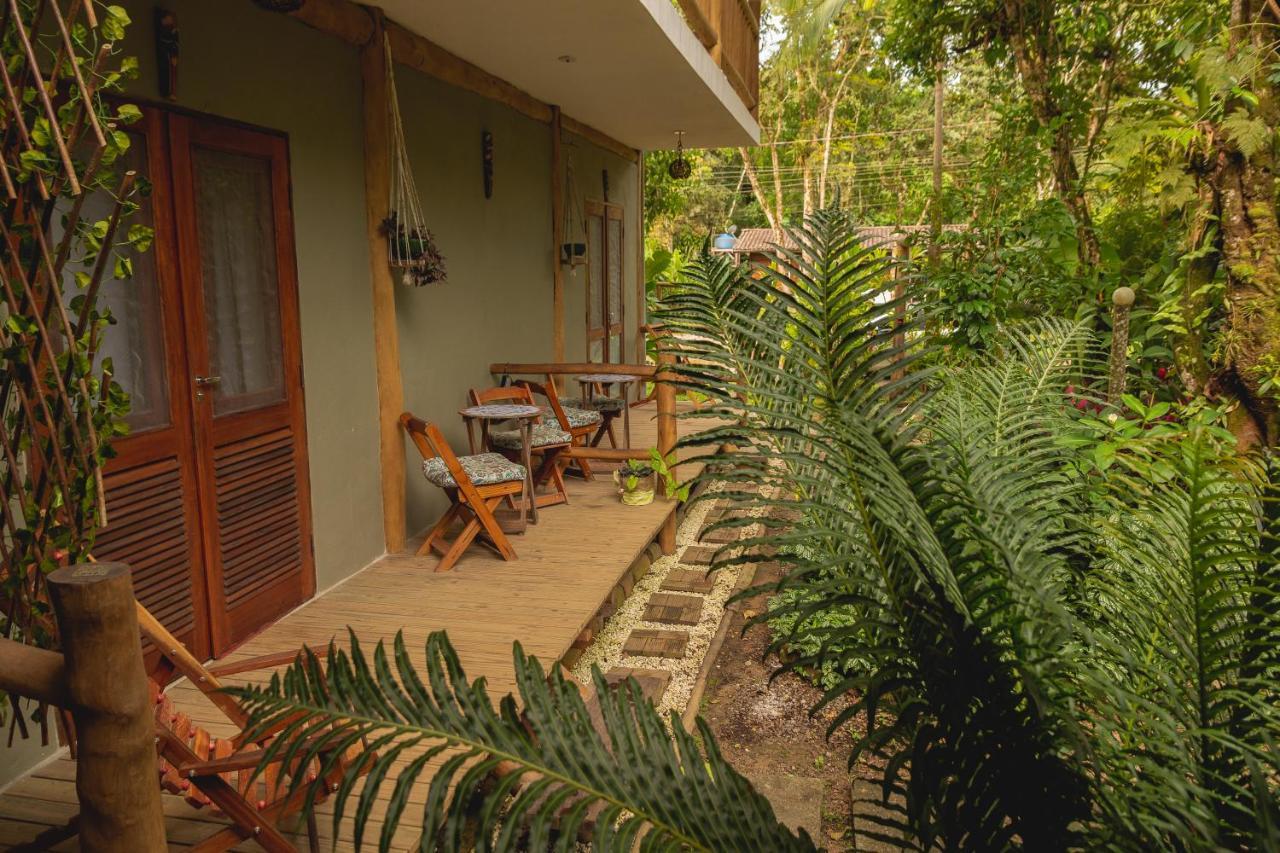 Surf House Itamambuca Homestay *