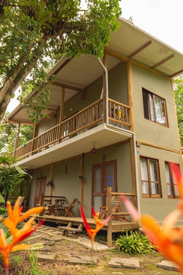 Surf House Itamambuca Homestay