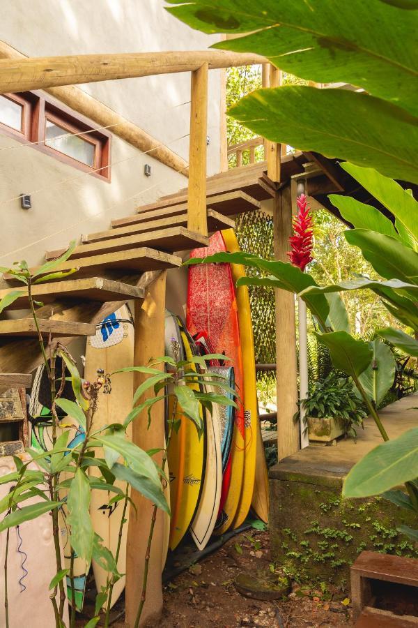 Surf House Itamambuca Homestay *