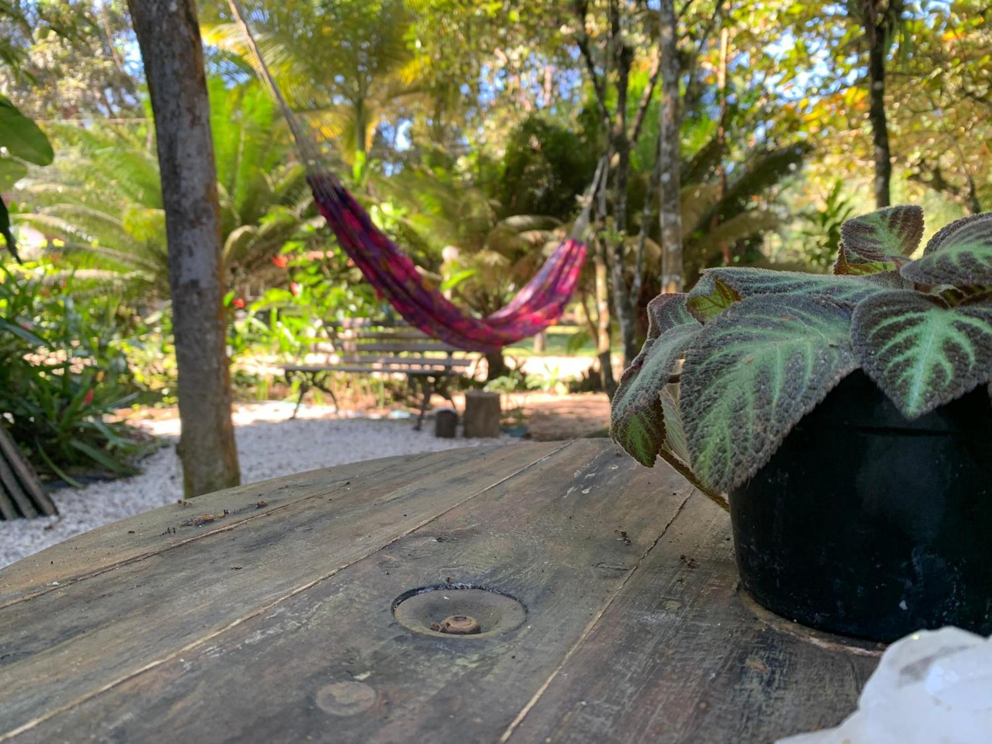 Surf House Itamambuca Ubatuba